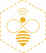 Cubeez