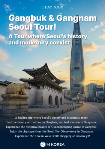Gangbuk & Gangnam Seoul Tour! 2